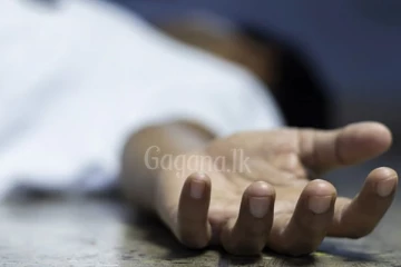 පළාත් සභා හිටපු සභාපතිනියක් ගමන් ගත් මෝටර් රථයේ ගැටී අයෙක් මරුට..