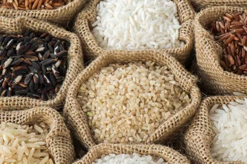அரிசிக்கு தட்டுப்பாடு! ஒப்புக்கொண்டது அரசாங்கம்