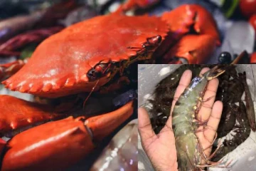 நண்டு, இறால்களை உயிருடன் கொதிக்க வைக்க வருகிறது தடை!