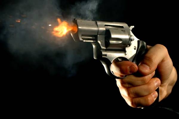 நாடாளுமன்ற உறுப்பினர்களிடம் நூற்றுக்கணக்கான ஆயுதங்கள் - பாதுகாப்பு இராஜாங்க அமைச்சர் தகவல் | Upon Hundred Arms To Members Of Parliament