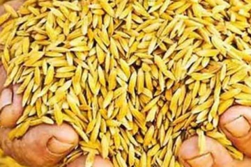 වී කිලෝවකට උපරිම මිලක් නියම කරයි..