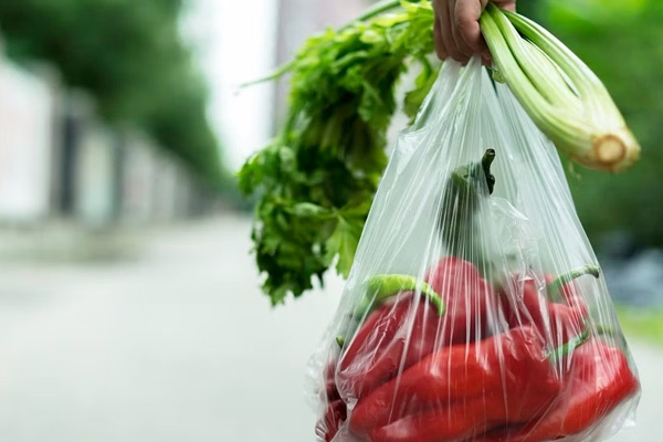 பொலித்தீன் பைகளுக்கு இனி கட்டணம் | More Charges For Polythene Bags