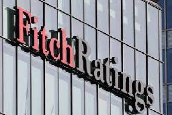 இலங்கையின் பாதீடு குறித்து ஃபிட்ச் ரேட்டிங்ஸ் எச்சரிக்கை | Fitch Ratings Warns About Sri Lanka S Budget