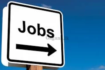 නව රැකියා අවස්ථාවන් දහසක් - රැකියාවක් බලාපොරොත්තුවෙන් ඉන්න ඔබ වෙනුවෙන්..
