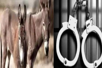 ஆண்மையை அதிகரிக்கும் கழுதை கறி? : ஆந்திராவில் 11 பேர் கைது