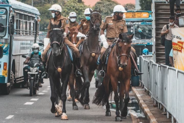 திடீரென உயிரிழந்த காவல்துறையினரிடமுள்ள குதிரைகள் - வெளியான காரணம்