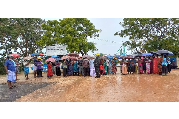 கொட்டும் மழையிலும் நீதி கேட்டு யாழில் மீனவர்கள் போராட்டம்! (காணொளி) | Fishermen Protest Jaffna Demanding Justice Rain