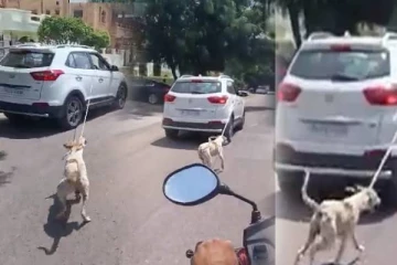 வாயில்லா பிராணியை காரில்  கட்டி தரதரவென வீதியில் இழுத்துச்  சென்ற மருத்துவர்! (Video)