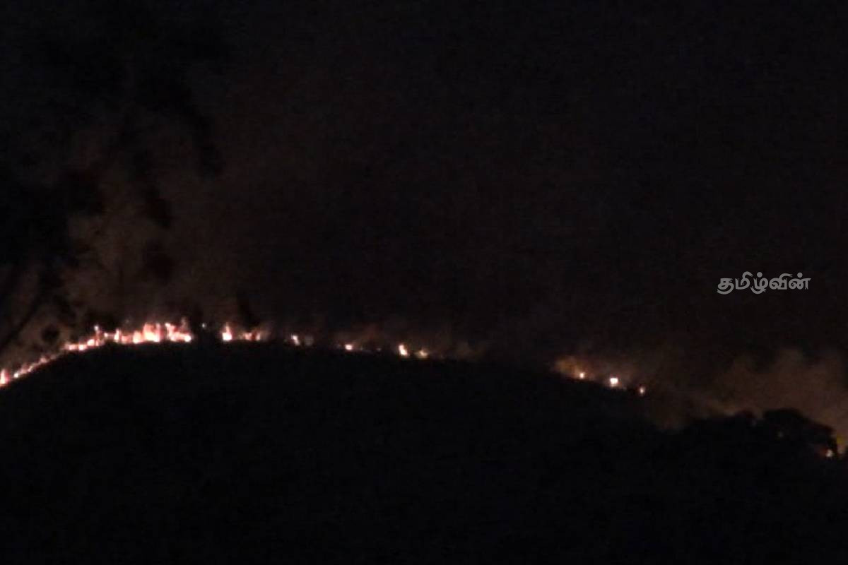 கொட்டகலை- ஸ்டோனிகிளிப் வனபாதுகாப்பு பகுதிக்கு தீ வைப்பு! | Fire Kotagala Stonycliffe Forest Reserve Shortly