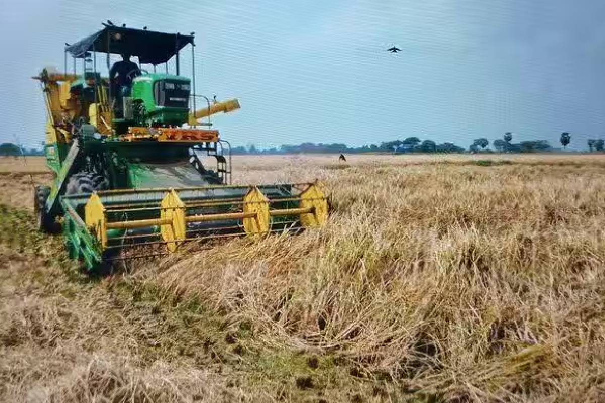 மன்னாரிலுள்ள விவசாயிகளிடம் அரசாங்க அதிபர் முன்வைத்துள்ள கோரிக்கை | Do Not Sell Paddy To Middlemen At Low Prices