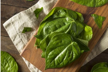 வெற்றிலையை இப்படி சாப்பிட்டாலே போதும்! உடல் எடை தாறுமாறாக குறையும்