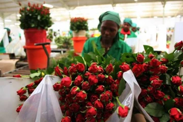 ரஷ்யா மீதான தடையால் கென்யாவில் ஏற்பட்ட நிலை!