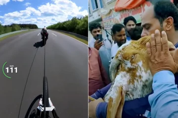 சைக்கிள் பந்தய வீரரை டோ செய்து சாதனை! உரிமையாளரை கட்டித் தழுவி அழும் ஆடு.. வினோத உலகம்