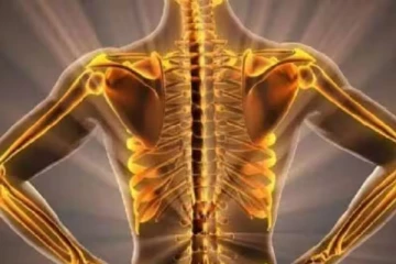 எலும்புகளை இரும்பைப் போல் வஜ்ரமாக்கும் கால்சியம் நிறைந்த உலர் பழங்கள்