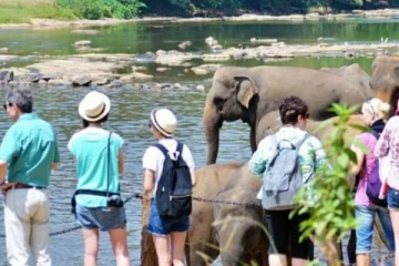 வெளிநாட்டவர்களின் திடீர் முடிவால் இலங்கைக்கு மேலும் நெருக்கடி!