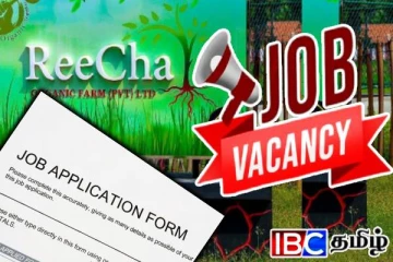 நாட்டில் வேலை தேடுபவர்களுக்கான அரிய வாய்ப்பு: வெளியான மகிழ்ச்சி தகவல்