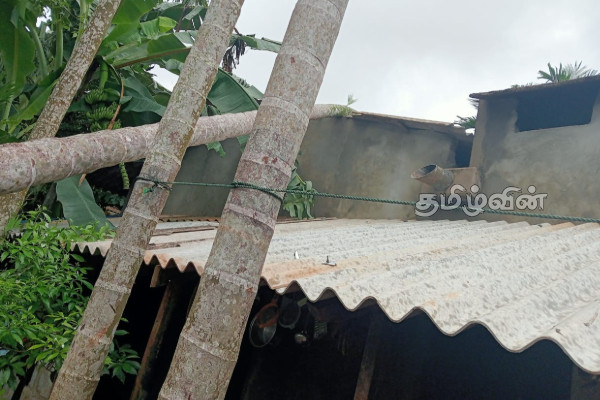 சீரற்ற காலநிலையால் யாழில் பாதிப்புக்குள்ளான பலர் | Many Affected By Inclement Weather In Jaffna சீரற்ற காலநிலையால் யாழில் பாதிப்புக்குள்ளான பலர் | Many Affected By Inclement Weather In Jaffna