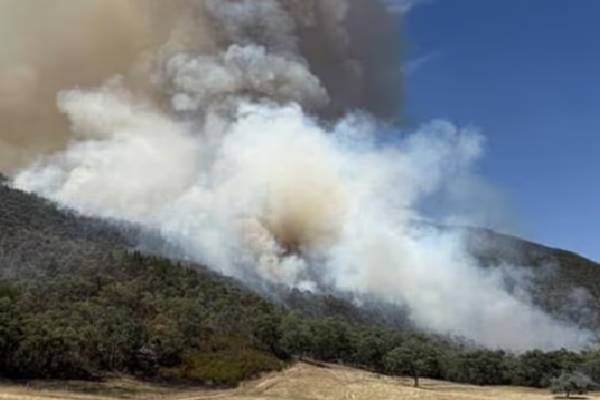 அவுஸ்திரேலியாவில் அவசரகாலநிலை பிரகடனம் | Declaration Of Emergency In Australia