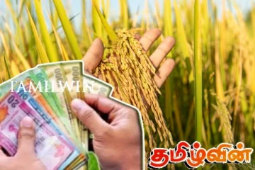 வவுனியாவில் நெற் காணிகளுக்கு இழப்பீடு வழங்க நடவடிக்கை