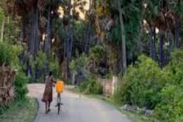 யாழ் பெண்ணின் முகம் சுழிக்க வைக்கும் செயல்