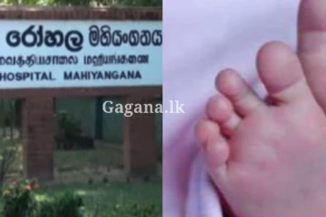 දින තුනක් වයසැති බිළිඳිය මවක් රෝහල පිටුපස හොරෙන්ම දමා ගිහින්.