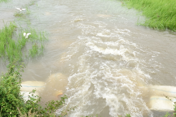 கொட்டித்தீர்த்த மழை; பல இடங்களில் வெள்ள அனர்த்த நிலை! | Flood Emergency Of Amparai District