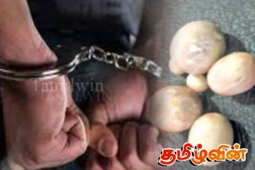 வாழைச்சேனையில் கஜமுத்துக்களுடன் ஒருவர் கைது