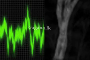 ගම්මානයක පොළොව යටින් මහ රෑට අමුතු අමුතු ශබ්ද ඇහෙන්න පටන් අරන් - හොඳටම බය උන ගම්මුන් ගැන වහාම ගත්ත පියවර.. පවුල් 50ක් විතර ඒ අතර..