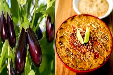 எப்பவும் ஒரே மாதிரி சட்னியா ? இட்லி,தோசைக்கு அசத்தலான கத்தரிக்காய் துவையல்!