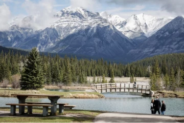 கனடியர்களுக்கு இந்த ஆண்டில் வழங்கப்படும் வரி சலுகை