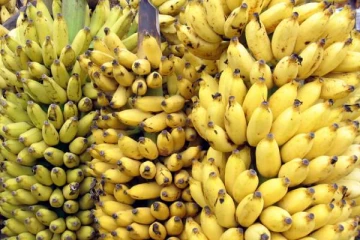 வாழைப்பழத்தை இந்த நேரத்தில் சாப்பிட்டால் இவ்வளவு நன்மைகள் கிடைக்குமா?