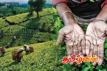 பெருந்தோட்ட மக்களுக்கு மலையக தேசம் உரிமையாவது எப்போது.. கேள்வி எழுப்பும் அருட்தந்தை மா.சத்திவேல்