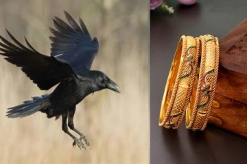 தங்க வளையலை கழற்றி அலட்சியமாக வைத்த சிறுமி.., தூக்கிச்சென்று கூடு கட்டிய காகம்