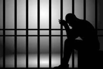 சுவிட்சர்லாந்தில் 30 இடங்களில் கைவரிசை காட்டிய நபருக்கு தண்டனை