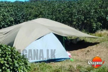 කොල්ලෝ 24ක් එක්ක කෙල්ලෝ දෙන්නෙක් පිදුරුතලාගල රක්ෂිතයේ ෆන් අරන්