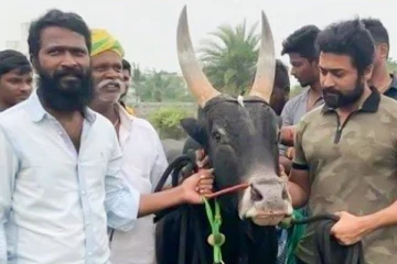 சூர்யா ரசிகர்களுக்கு செம்ம விருந்து.. வாடிவாசல் சூப்பர் அப்டேட்