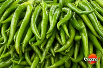 අමු මිරිස් මිල සීඝ්‍ර ලෙස ඉහළට