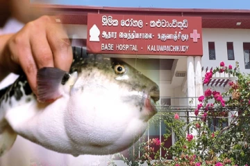 நச்சு மீனை உண்ட மற்றுமொரு பெண்ணும் உயிரிழப்பு