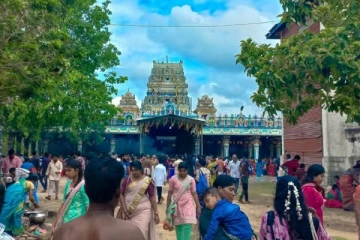 மட்டுவில் பன்றித்தலைச்சி அம்மனில் பங்குனித் திங்கள் பொங்கல்