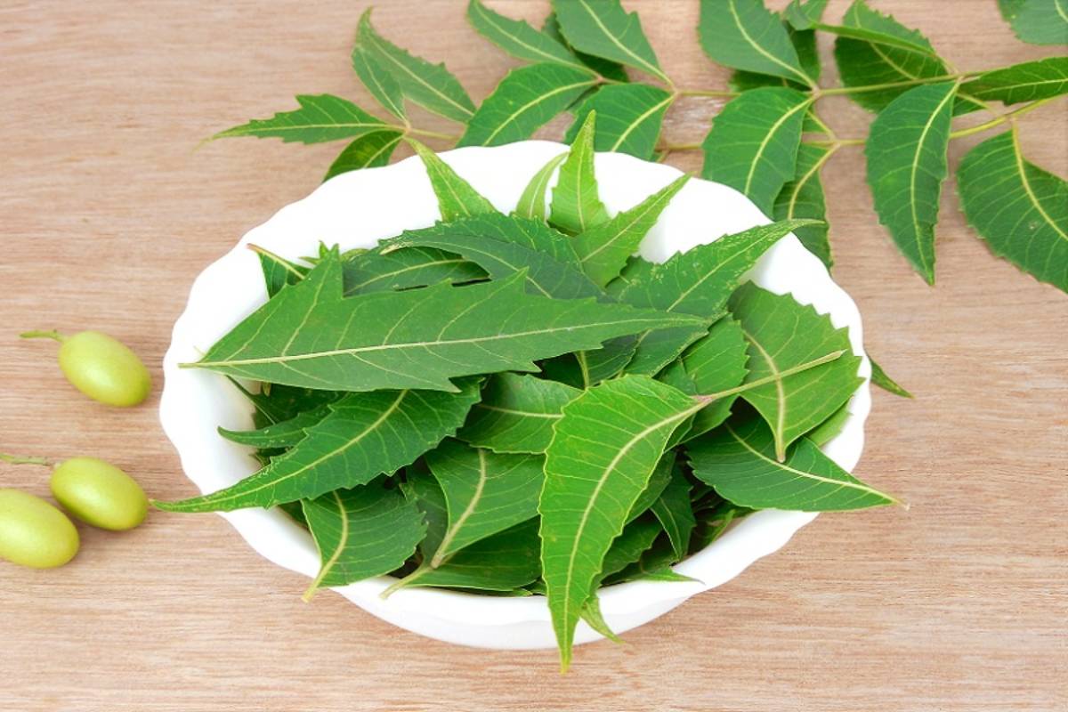 Neem Face Pack- கண்ணாடி போன்ற சருமத்திற்கு... வாரத்தில் 2 முறை போடுங்க | Benefits Of Applying Neem Face Pack