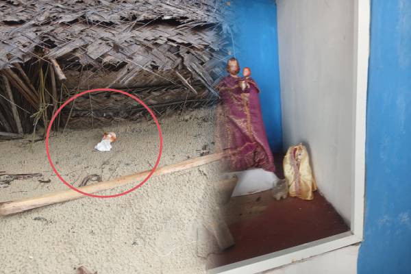 தமிழர் பகுதியில் விஷமிகளால் சேதமாகப்பட்ட புனித அந்தோனியார் திருச் சுரூபங்கள் | Images Of Saint Anthony Damaged By Poison Mannar தமிழர் பகுதியில் விஷமிகளால் சேதமாகப்பட்ட புனித அந்தோனியார் திருச் சுரூபங்கள் | Images Of Saint Anthony Damaged By Poison Mannar