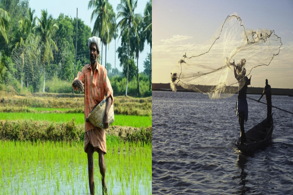 இலங்கையில் பாதிக்கப்படும் மக்களை மீட்கும் நடவடிக்கையில் புலம் பெயர் தமிழர் கூட்டணி | In The Process Of Rescuing People Tda
