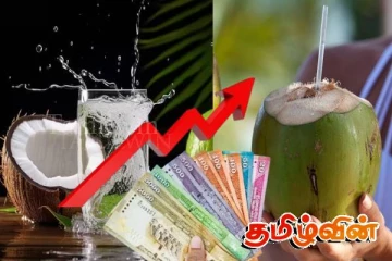 சந்தையில் அதிகரித்த இளநீரின் விலை