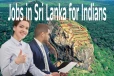 இலங்கையில் இந்தியர்களுக்கான வேலை வாய்ப்புகள்: அதிக சம்பளம், விசா பெறுவதற்கான வழிமுறைகள்!