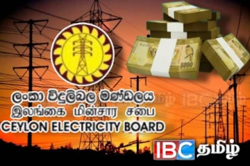 கடந்த ஆண்டில் பில்லியன் கணக்கில் இலாபம் ஈட்டியுள்ள இலங்கை மின்சார சபை