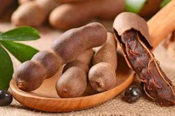 புளிப்பான புளியை தினமும் சாப்பிட்டால் கிடைக்கும் நன்மைகள்! இரத்த ஓட்டத்தையும் சீராக்குமே