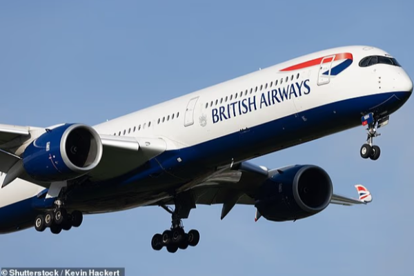 British Airways sudden landing in sydney