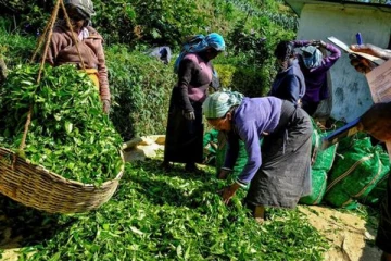 “இந்திய வம்சாவளிகள் வஞ்சிப்பு! 225 நாடாளுமன்ற உறுப்பினர்கள் வெட்கி தலைகுனியவேண்டும்”