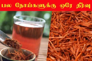 Kerala Pink Water: கேரளா ஸ்பெஷல் தண்ணீர்- உடலின் அனைத்து பிரச்சனைக்கும் ஒரே தீர்வு