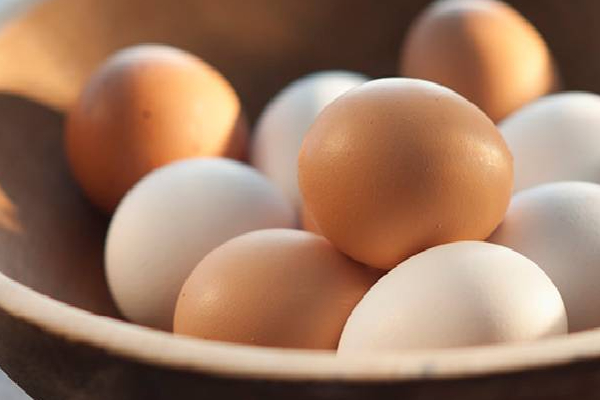 இலங்கையில் முட்டைக்கு ஏற்படவுள்ள அபாயம்! | Sri Lanka Shortage In The Market For Egg